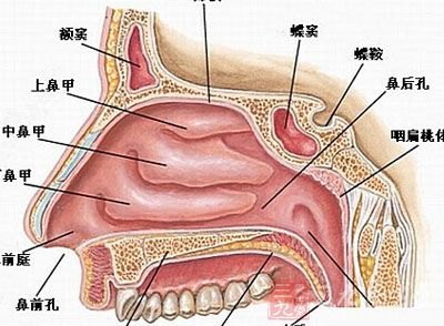 哪家医院治疗鼻息肉好