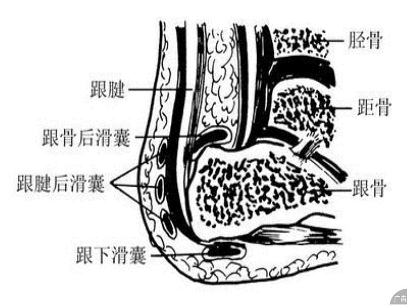 滑囊炎不及时治疗有哪些后果