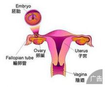 输卵管堵塞不及时治疗会有什么危害？